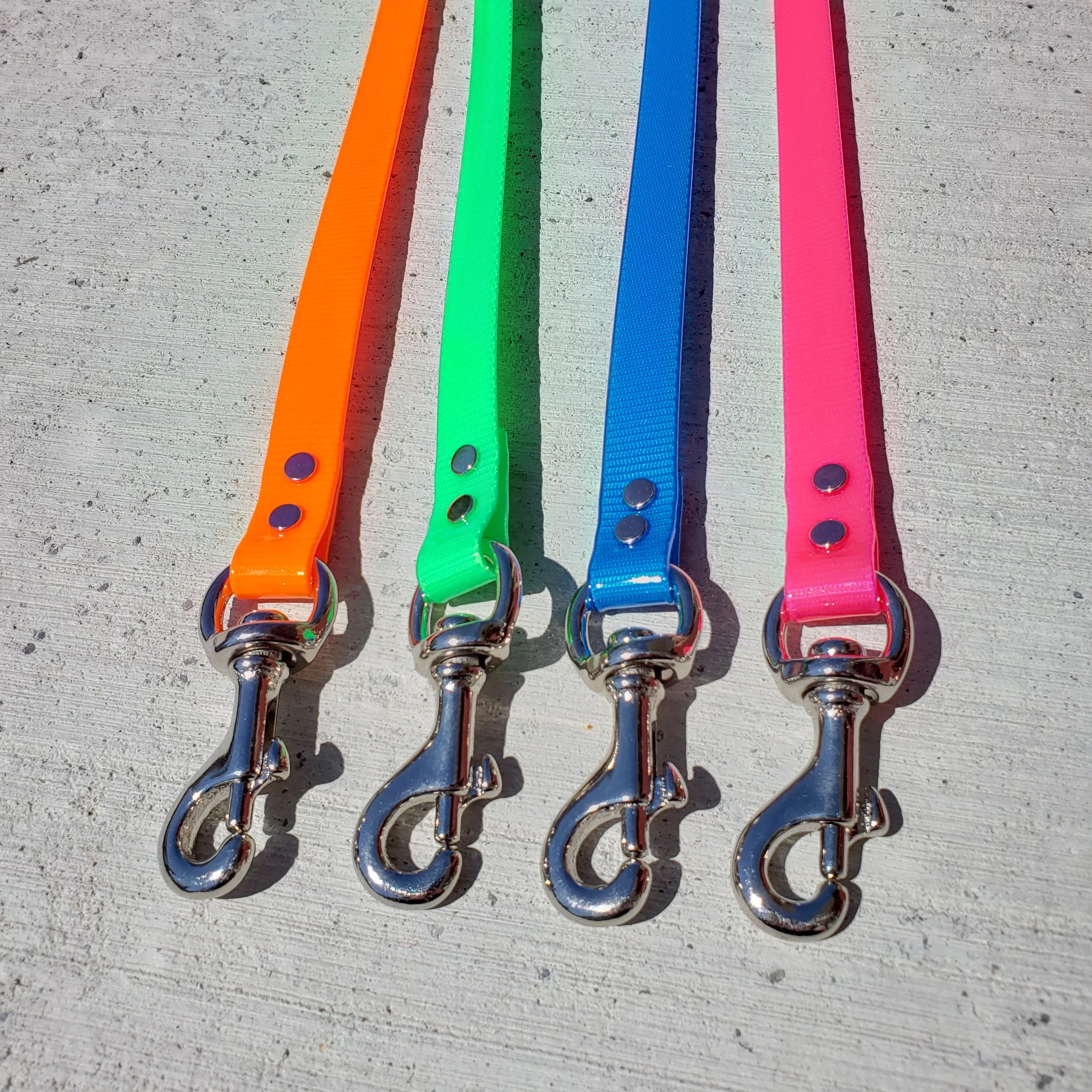 Biothane Leash