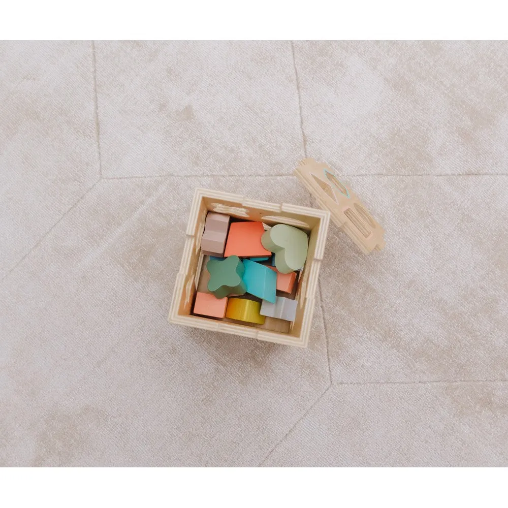 Bubble Wooden Shape Sorting Cube