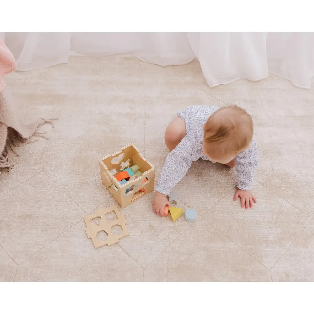 Bubble Wooden Shape Sorting Cube