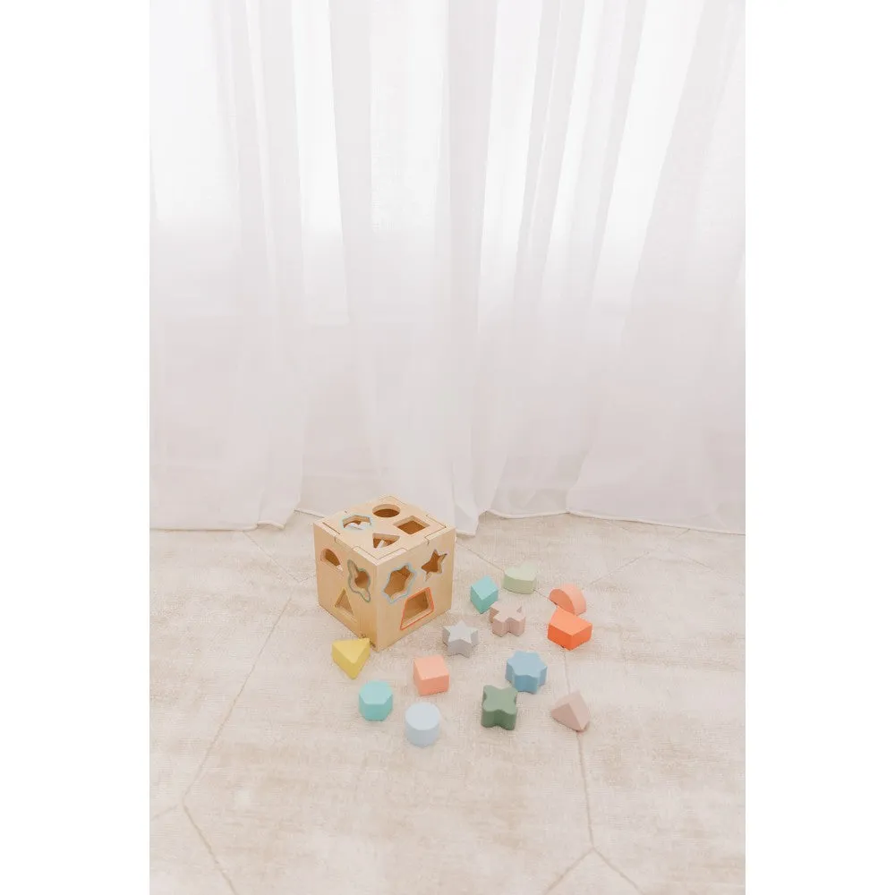 Bubble Wooden Shape Sorting Cube