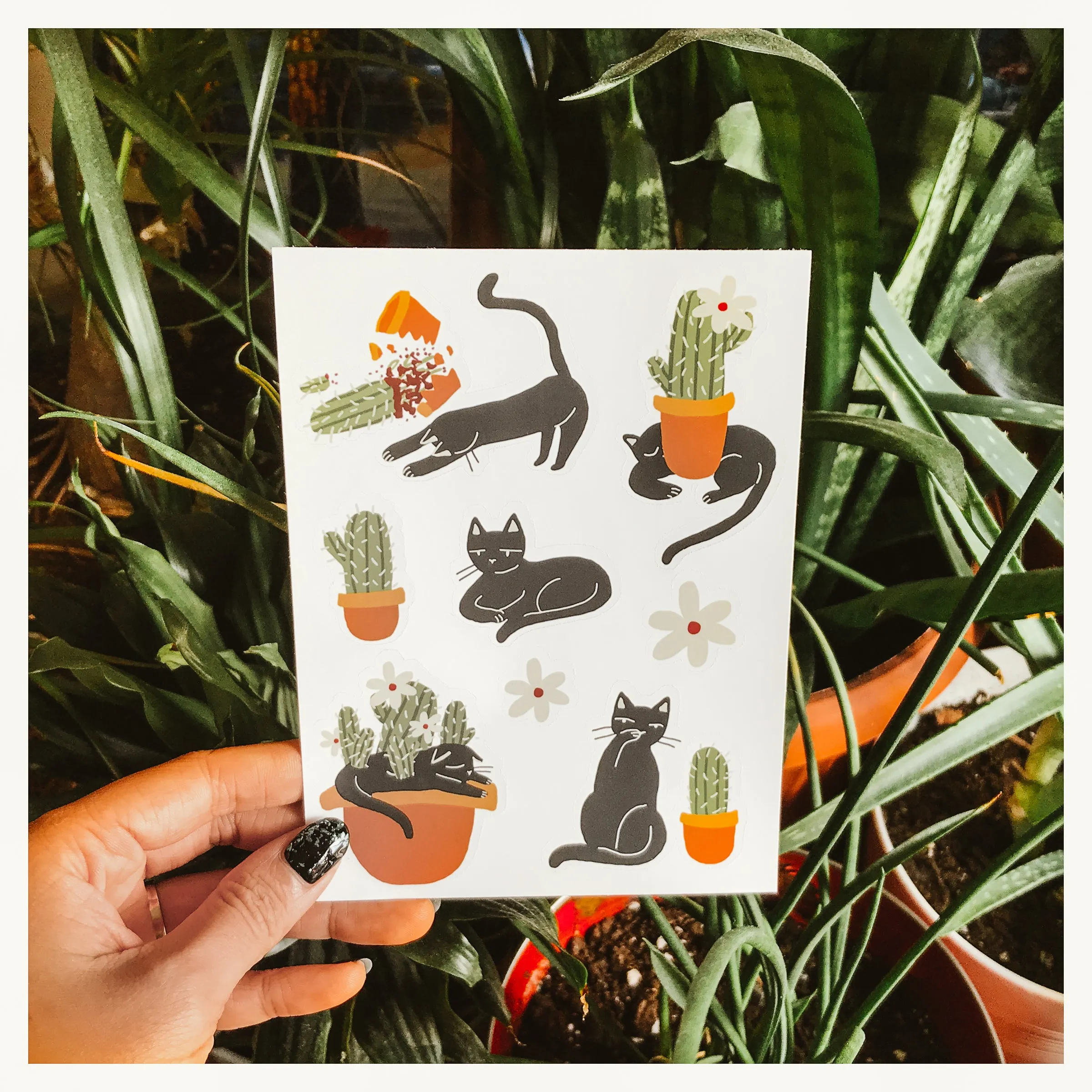 Cat Cactus Sticker