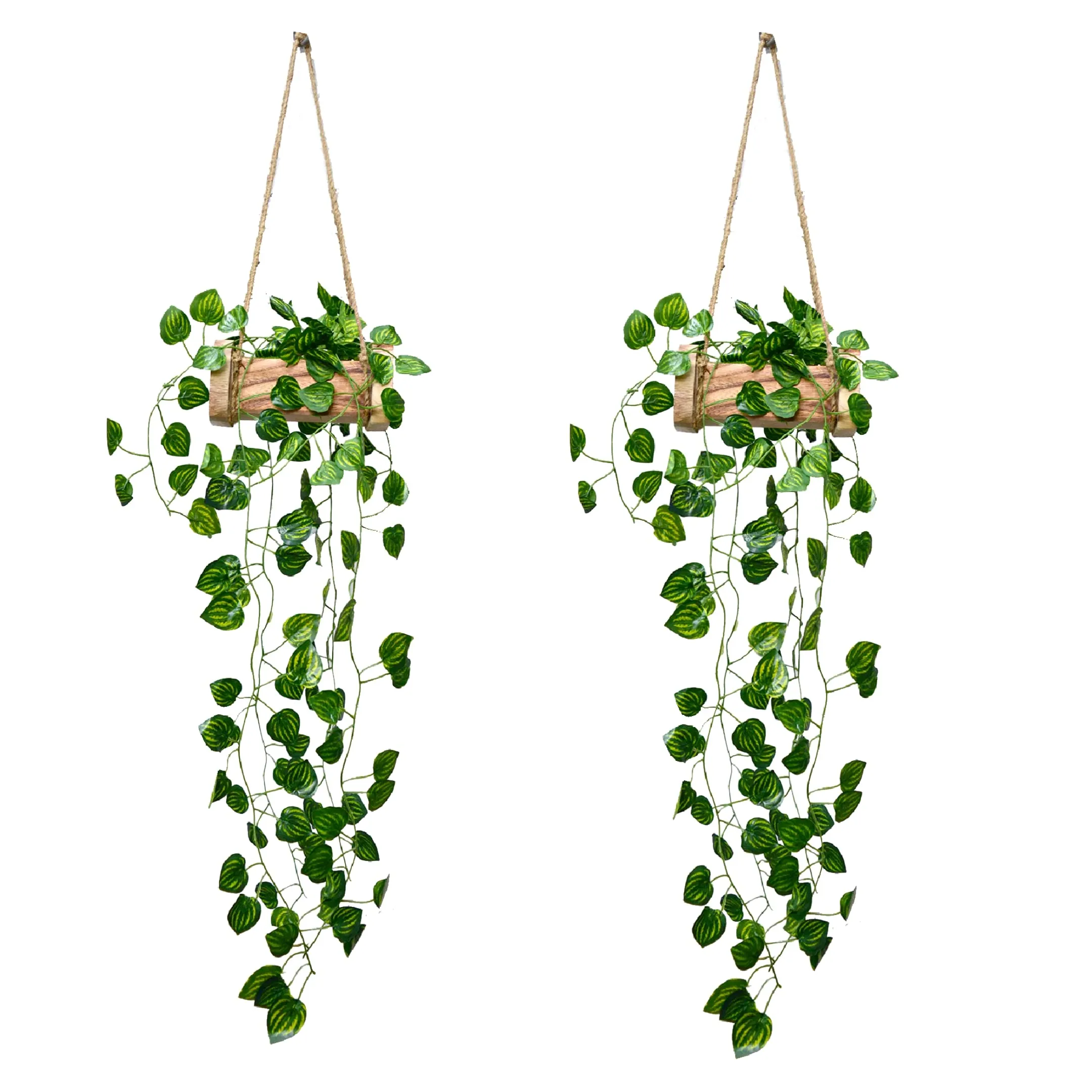 DecoreBugs Plastic Money Artificial Plant Leaves Wall Hangings For Home Decoration With Wooden Pot Pack Of 2 (Hanging Fall 60 Cm), Decorative Items For Home Living Room And Office