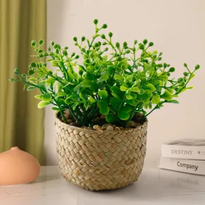 Ekhasa Aglaia Artificial Plants for Home Decor with Decorative Pot (14 CM) | Fake Faux False Show Decor Indoor Plastic Small Decorative Potted Plant for Living Room, Kitchen, Office