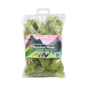 Kiwi Reindeer Moss