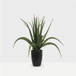 Small Faux Potted Succulent Plant Artificial Aloe Vera Plant For Home Garden Living Room Backyard Decor Yooly Plants - YL04467