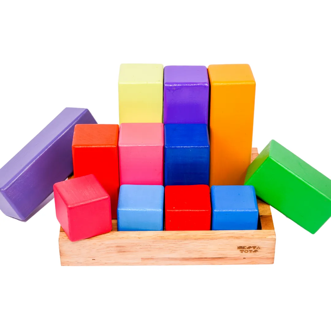 Wooden Building Blocks with Tray | Stacking Rainbow Toy (12 Pcs)